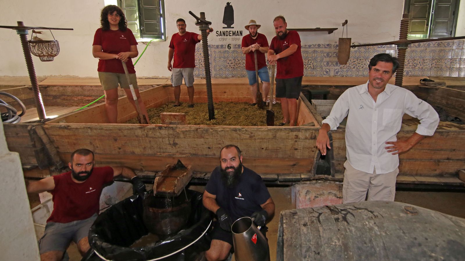 Vendimia y pisa de la uva tradicional en Viña El Corregidor de Bodegas Luis Pérez