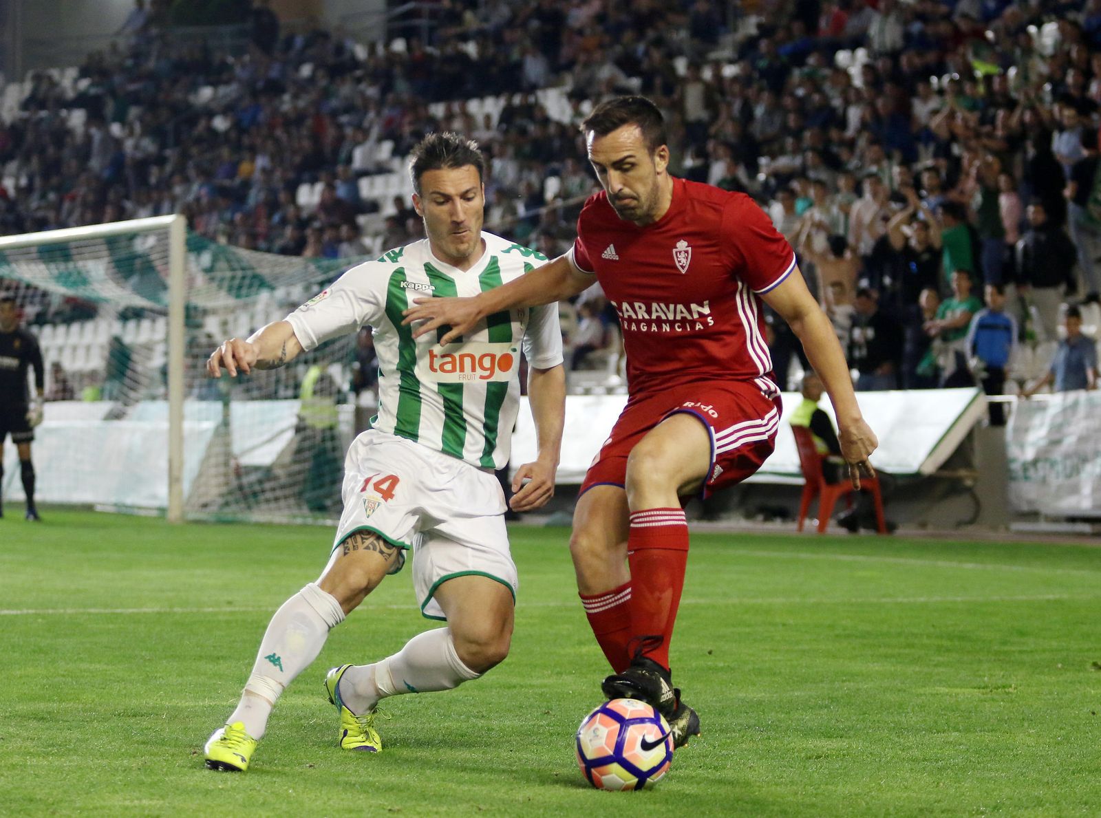 Las imágenes del Córdoba-Zaragoza