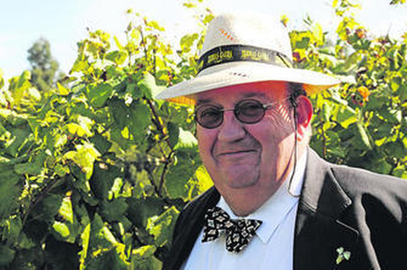 "Los políticos han metido el vino en el saco del cubalibre"