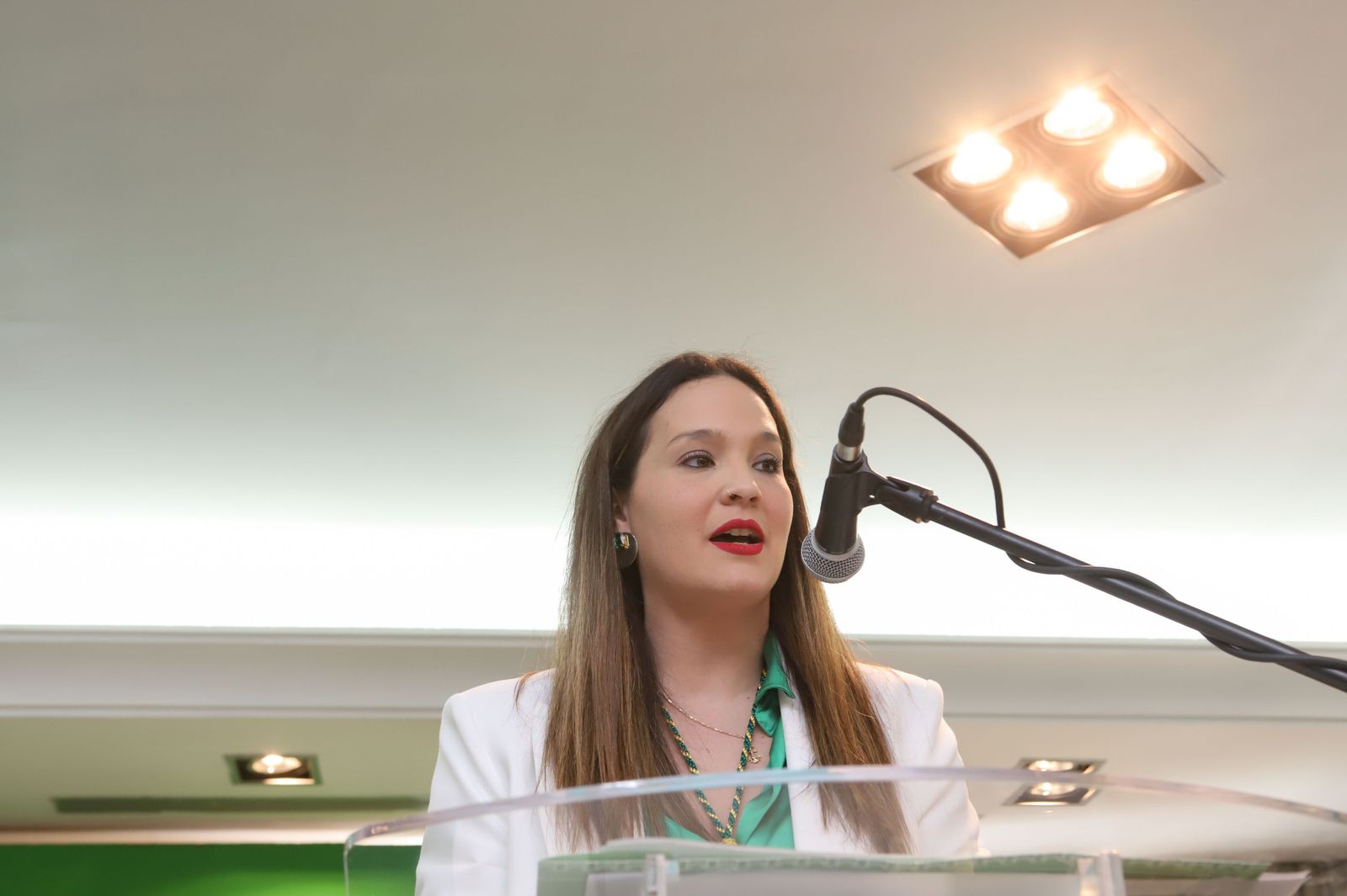 Las fotos de los galardonados del 28-F en Los Barrios.