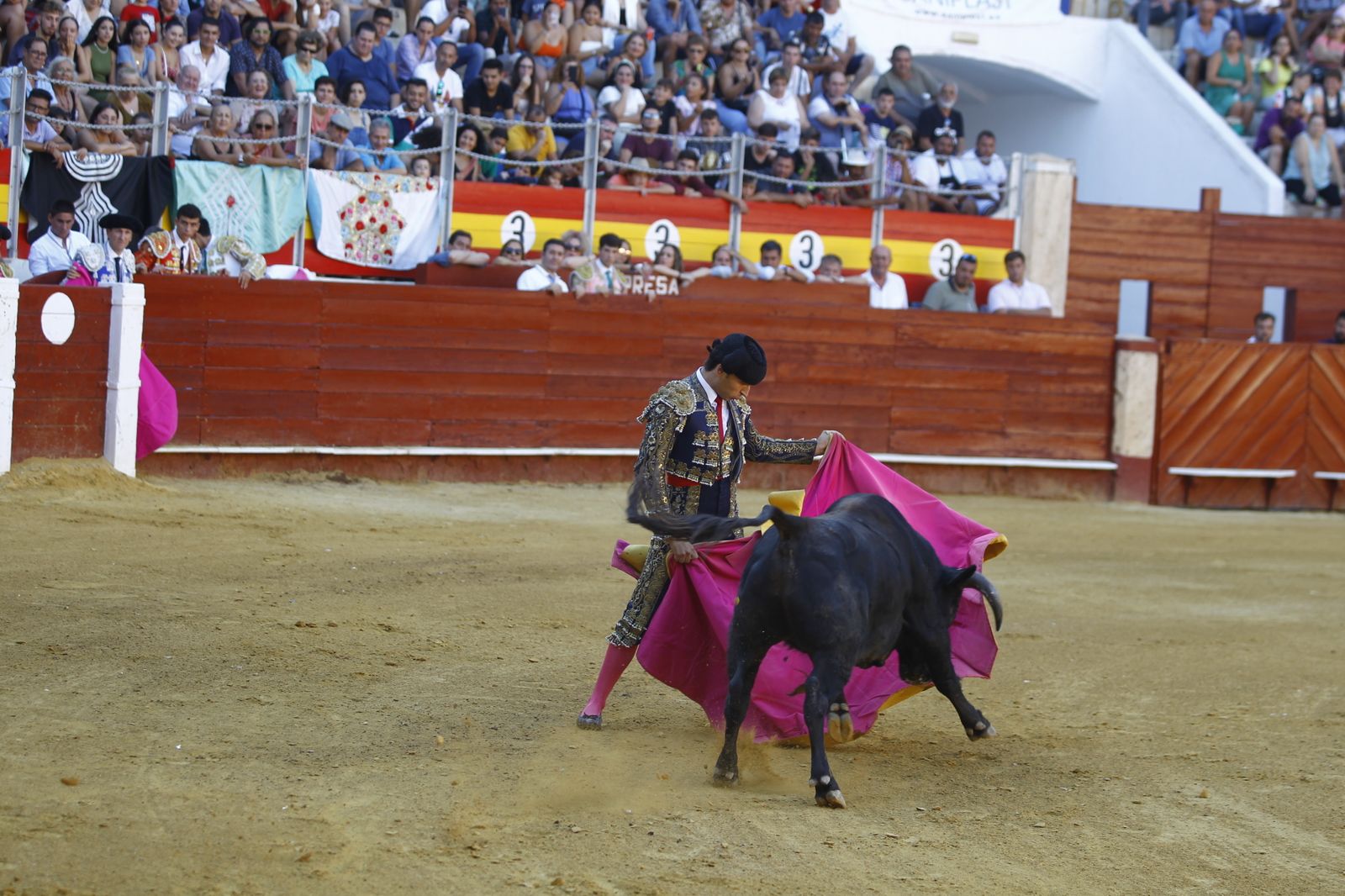 Imágenes de la novillada organizada por la Escuela Taurina de Almería