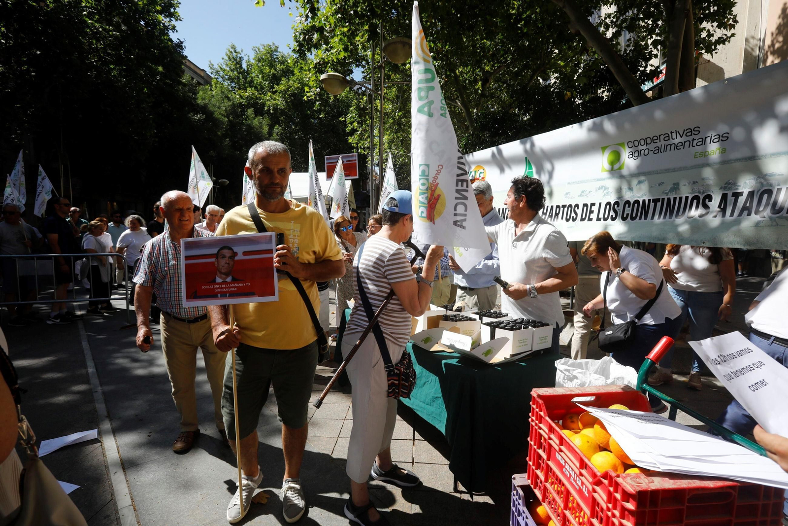 Las imágenes de la concentración de los agricultores de Córdoba "por la supervivencia del campo"