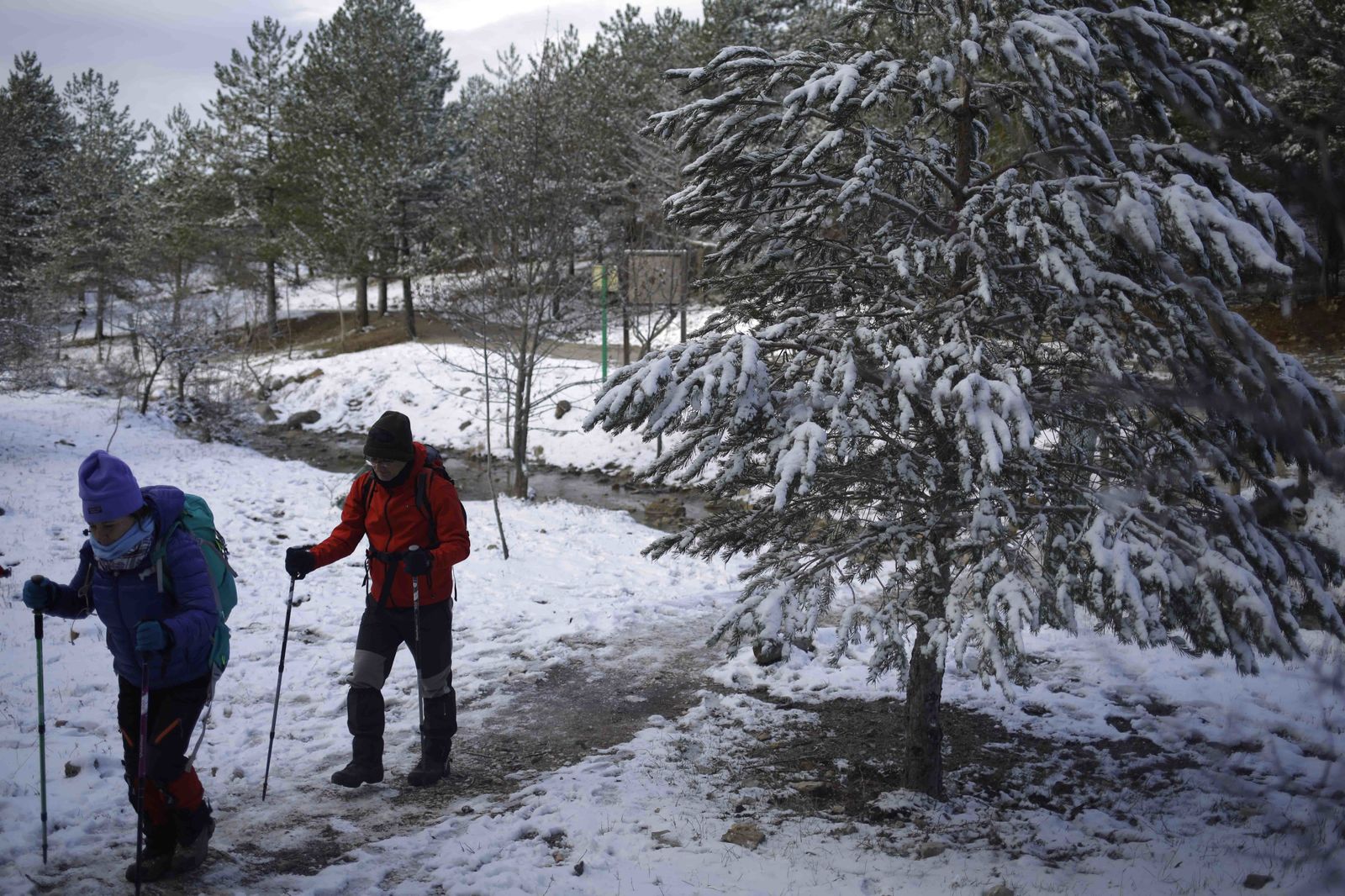 La excursiones a los parajes nevados de Málaga, en imágenes
