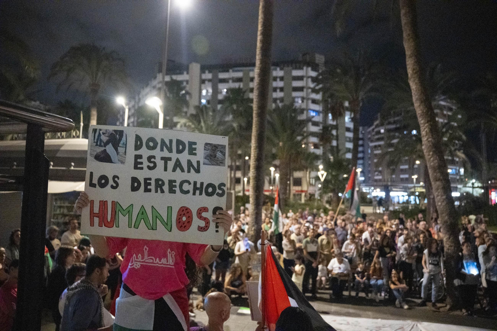 La Plataforma Almería por Palestina se manifiesta por la situación en Gaza, en imágenes