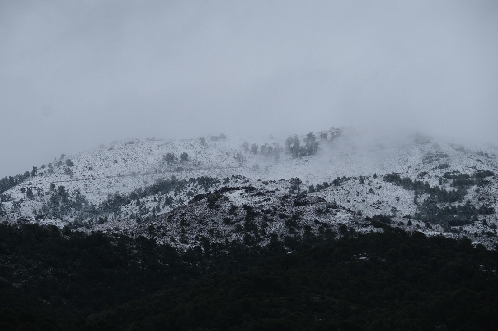La nueva nevada  en el Parque Nacional Sierra de las Nieves, en fotos
