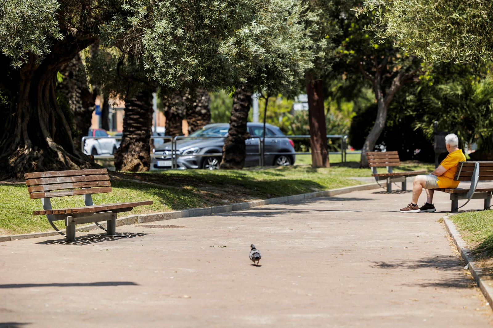 Las zonas verdes menos verdes de la ciudad de Cádiz
