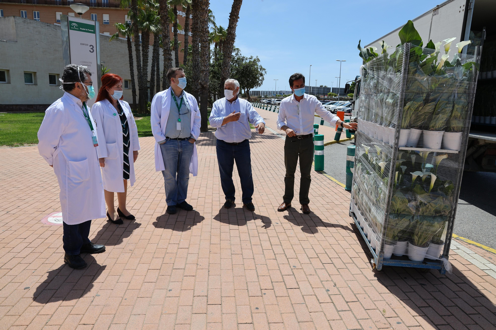 Entrega de plantas ornamentales en el Hospital de Poniente.