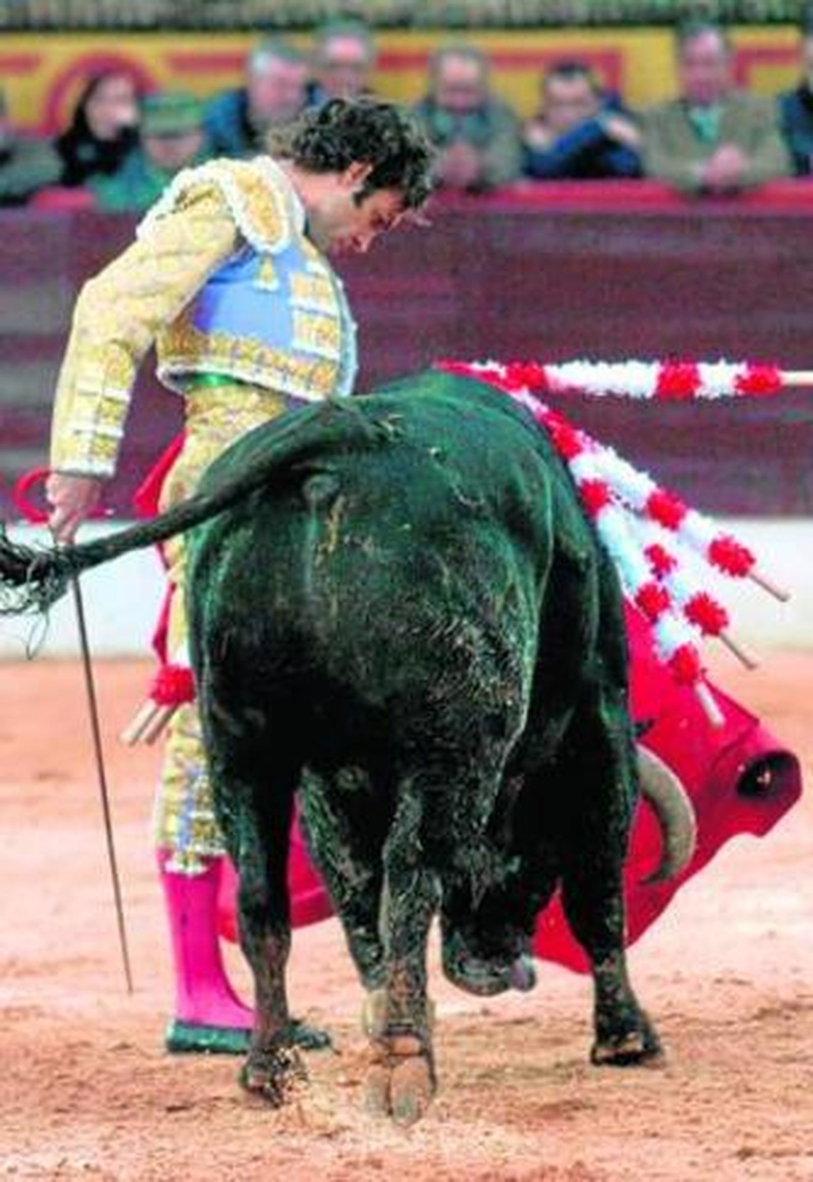 José Tomás, durante su labor.