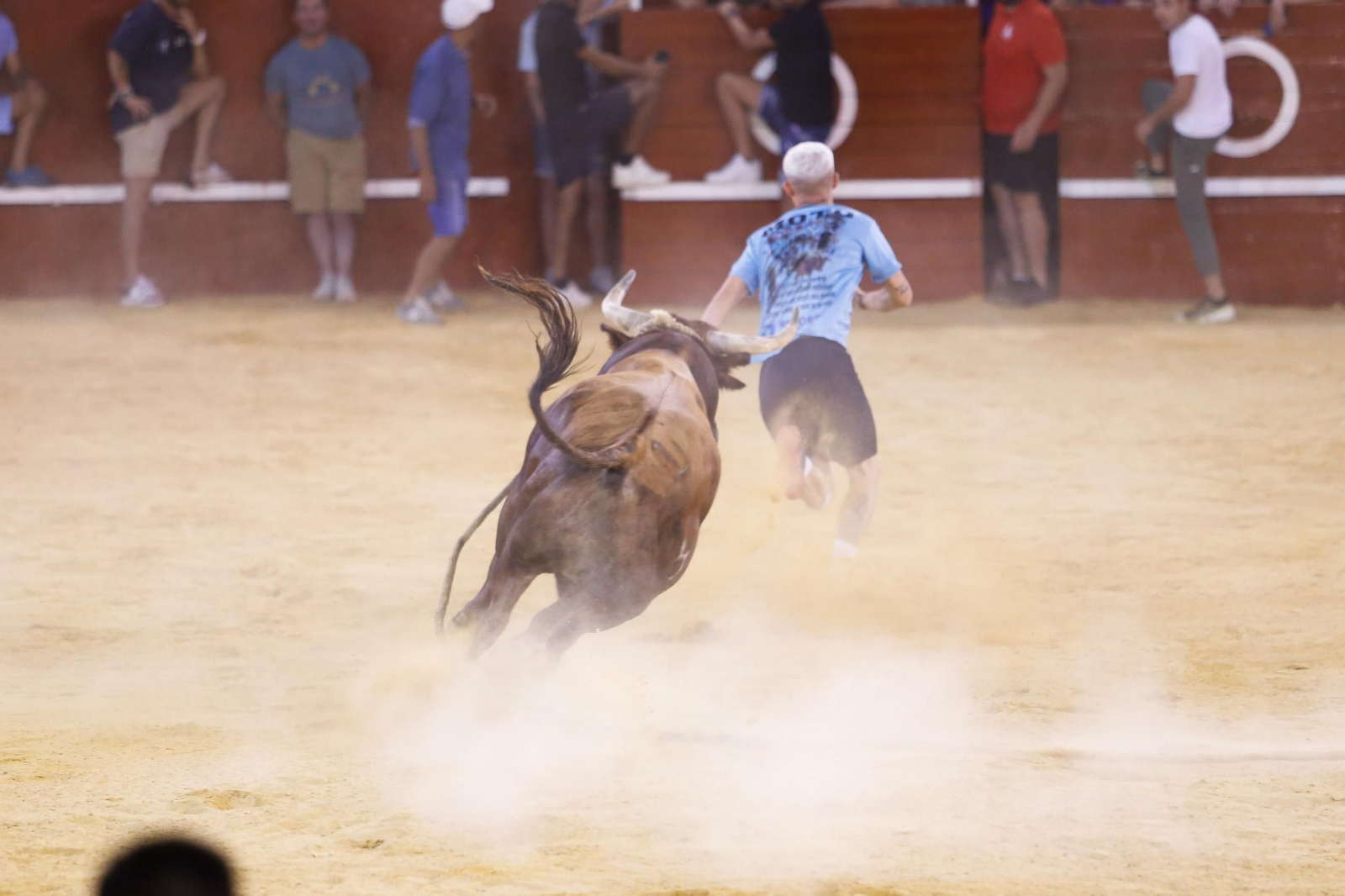 Fotos del Toro del Aguardiente en San Roque