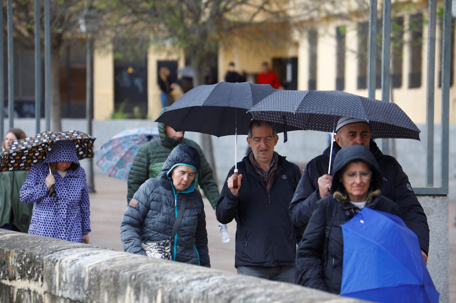 El paso de la borrasca Nuria por Córdoba, en imágenes