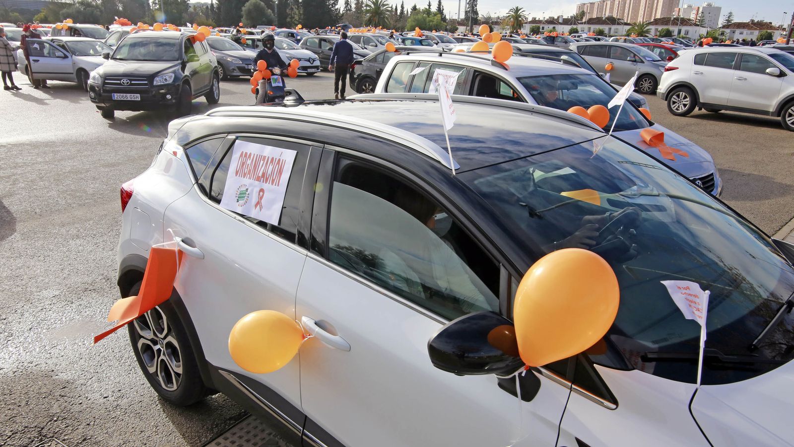 Imágenes de la manifestación en vehículos contra la Ley Celaá en Jerez