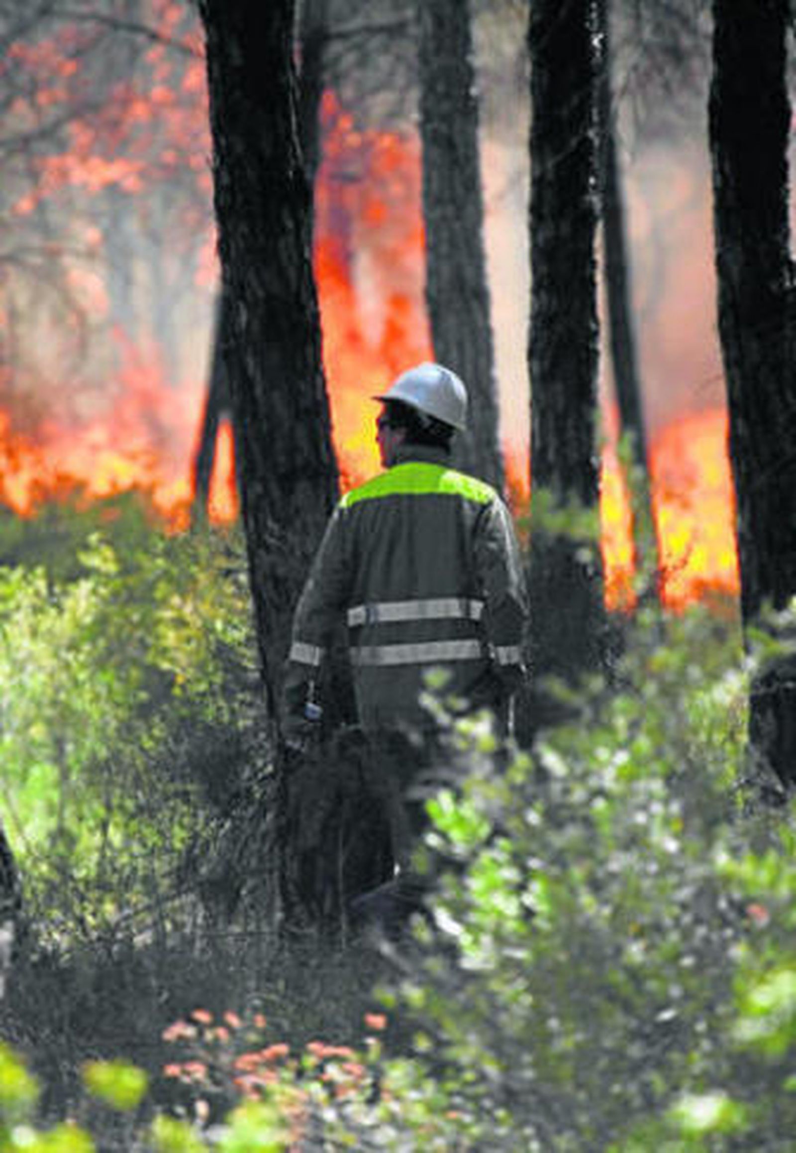 Un bombero, ayer en las labores de extinción del incendio.