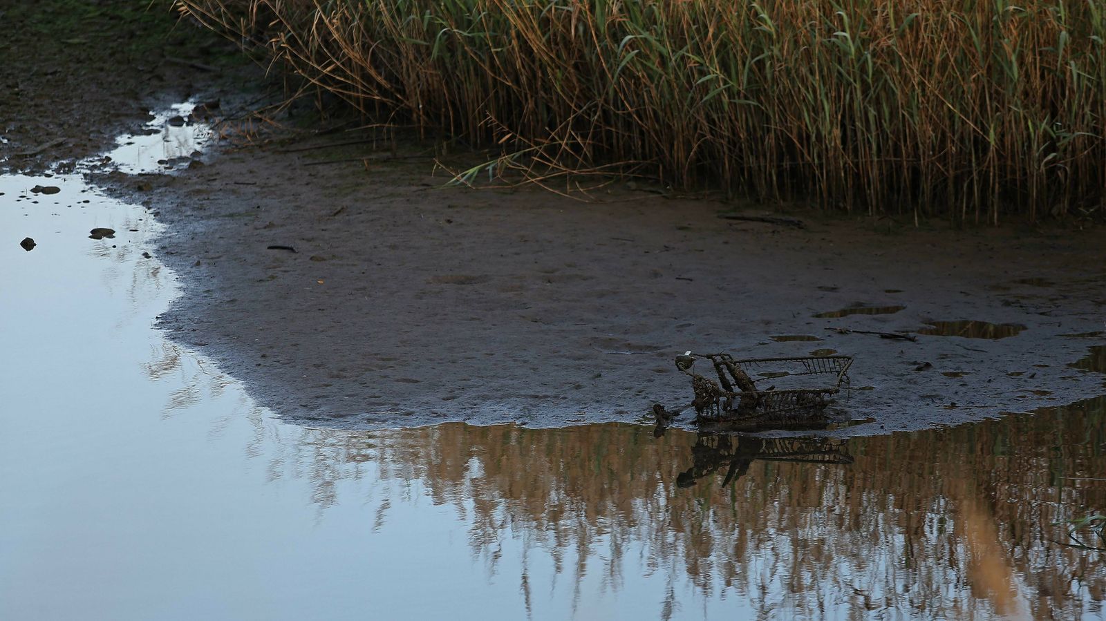 Las mejores fotos del parque fluvial del Río Pícaro