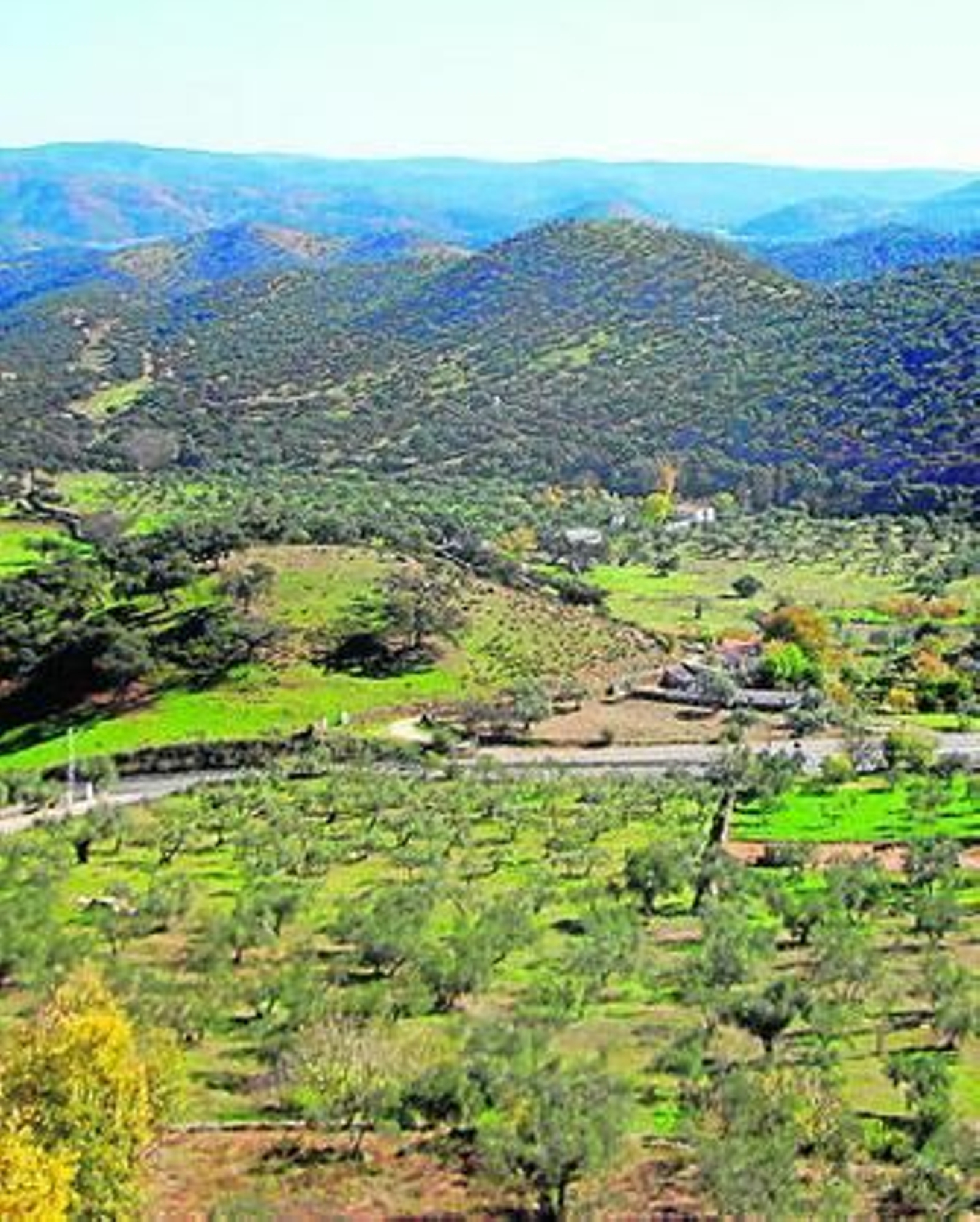 Vista de la carretera de Zufre.