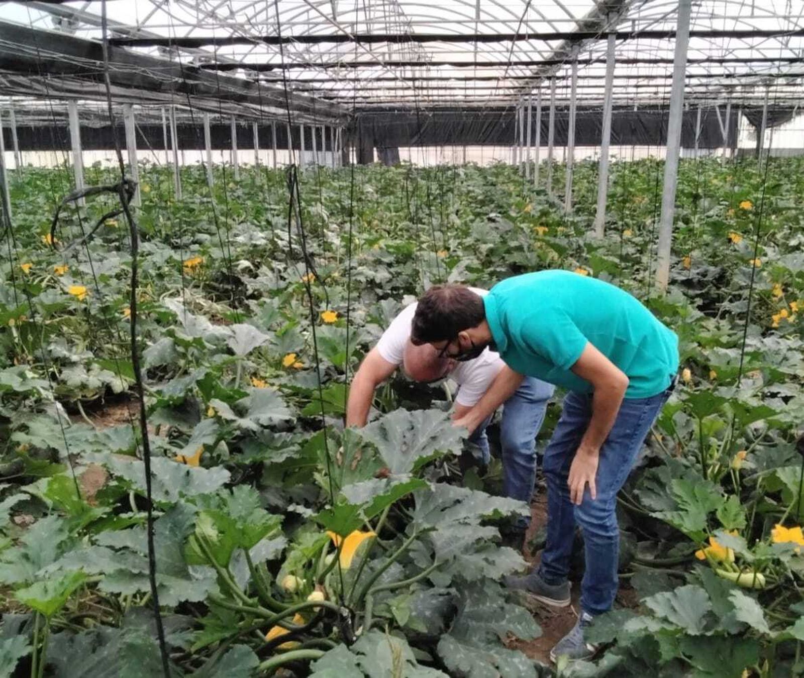 COAG Cádiz cumple 45 años de lucha agraria con un gran equipo técnico al servicio de agricultores y ganaderos