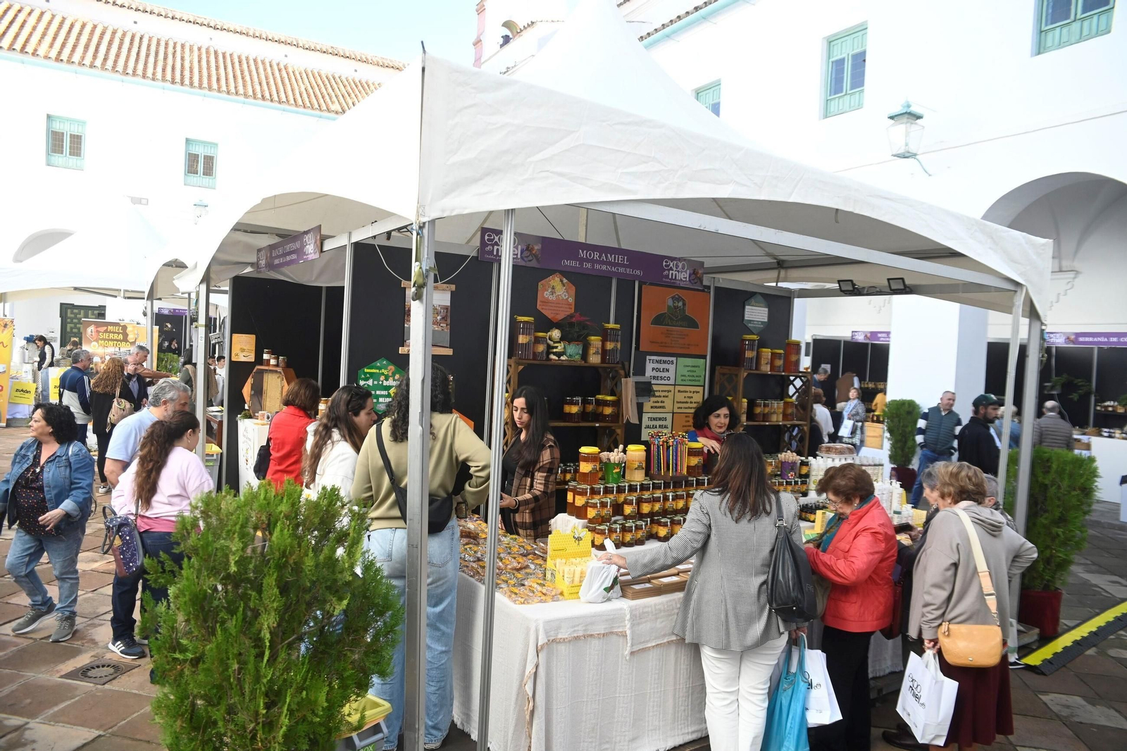 Un recorrido por Expomiel 2025