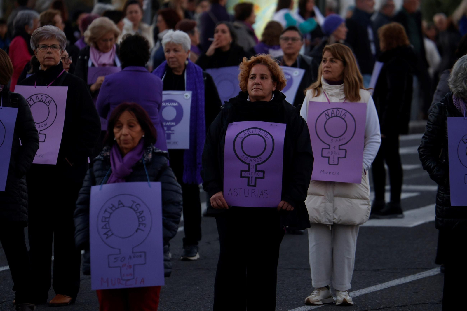 La manifestación del 25N en Córdoba