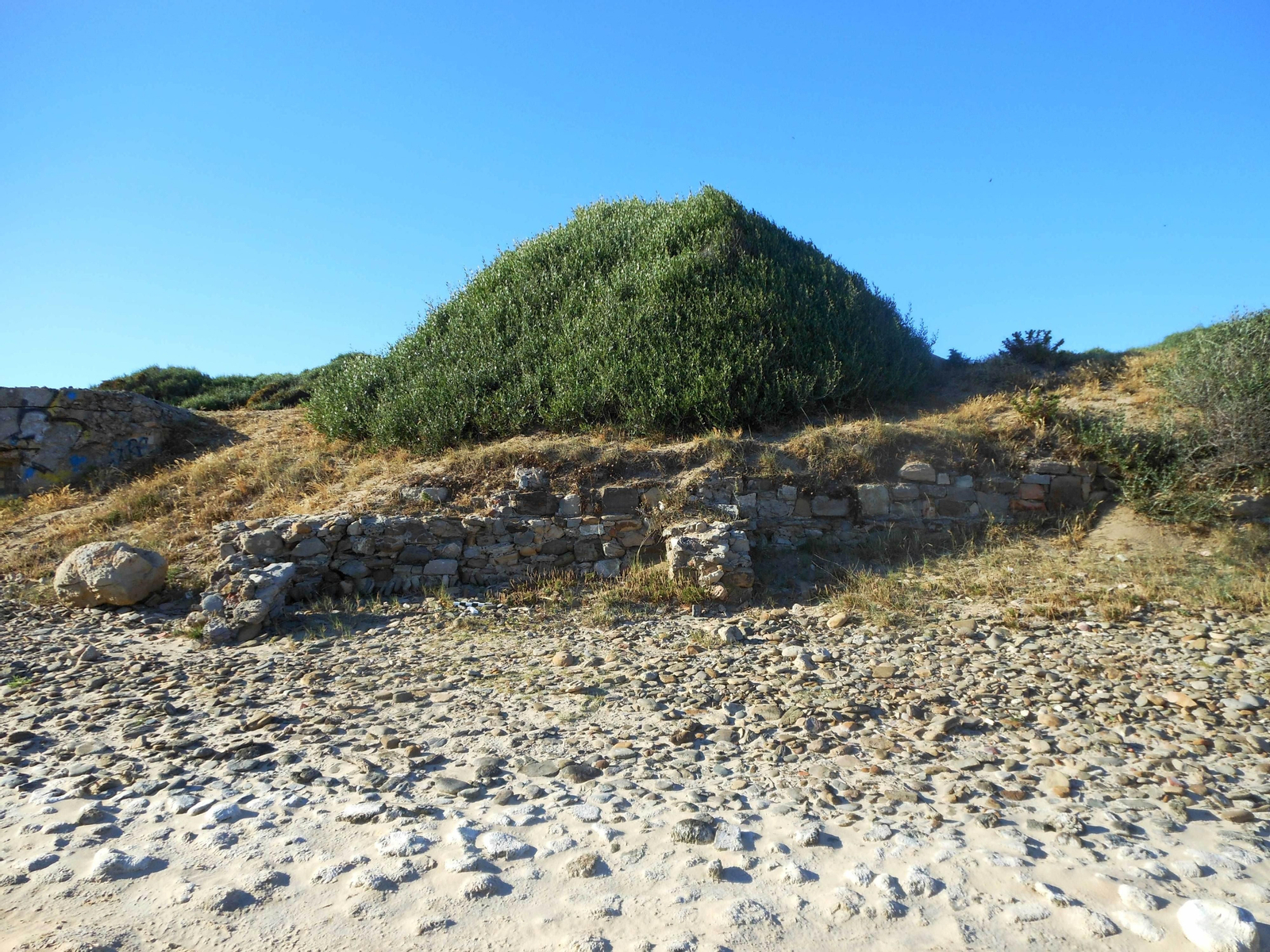 El yacimiento romano de Mellaria, en Tarifa.