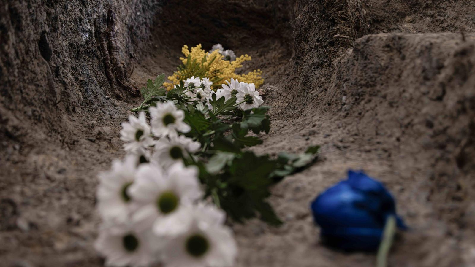 Flores reposando en una fosa exhumada en el Barranco de Víznar