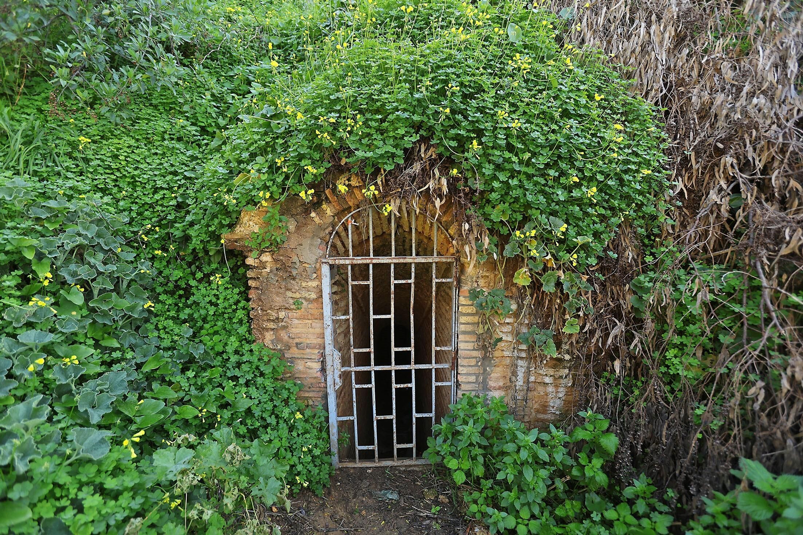 La fuente vieja, en Huelva.