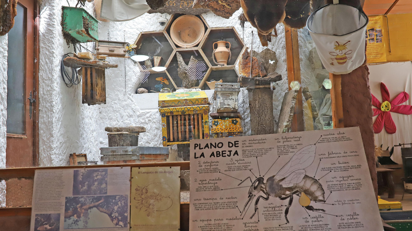 Jerez celebra el Día Mundial de las Abejas Jerez celebra el Día Mundial de las Abejas