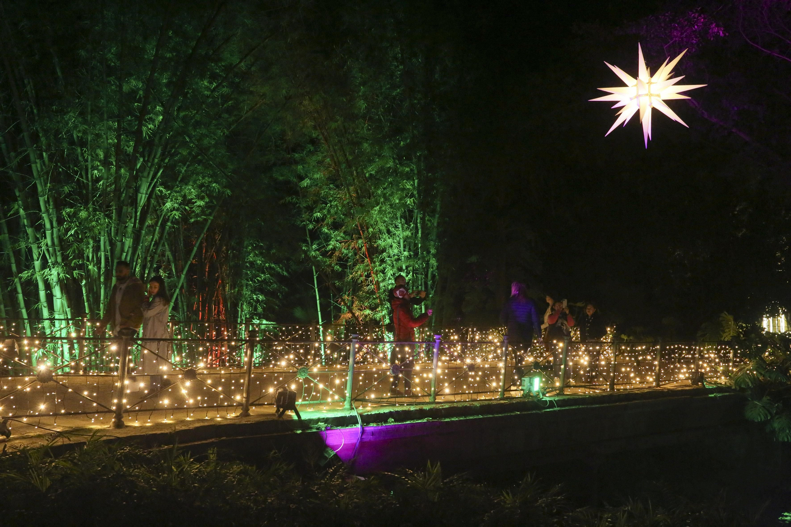 Las luces del Jardín Botánico de Málaga esta Navidad, en fotos