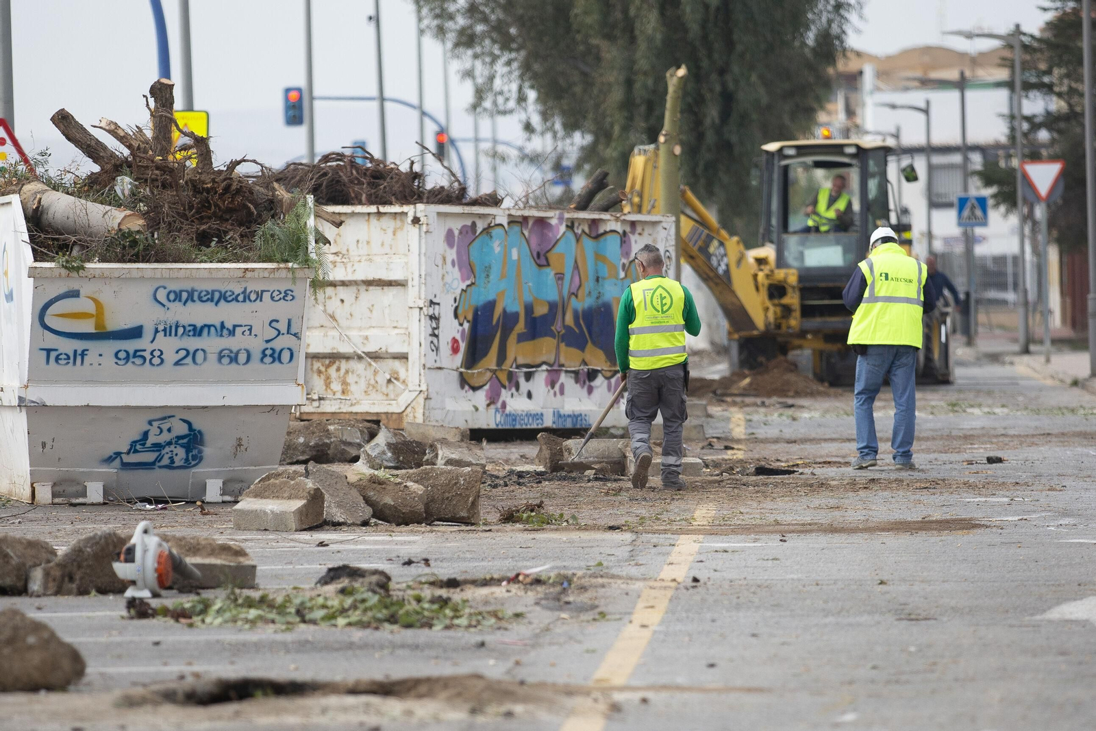 Imagen de los trabajos de trasplante de árboles en la A-338 en Churriana, a las puertas de Armilla