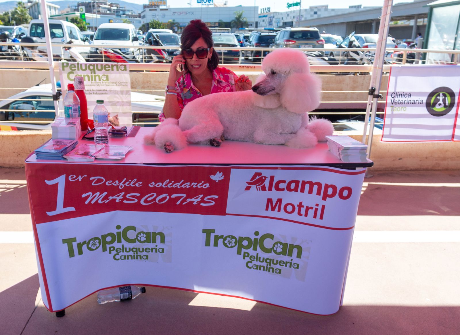 ¿Has estado en el primer desfile solidario de mascotas celebrado en Motril?