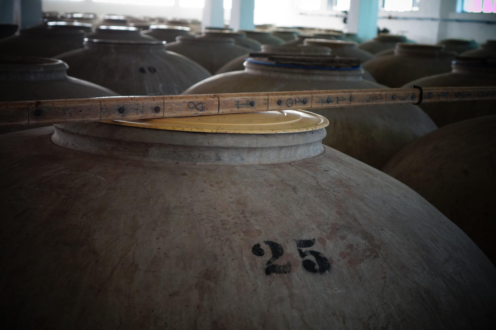 Un recorrido en fotografías por el vino nuevo de Moriles