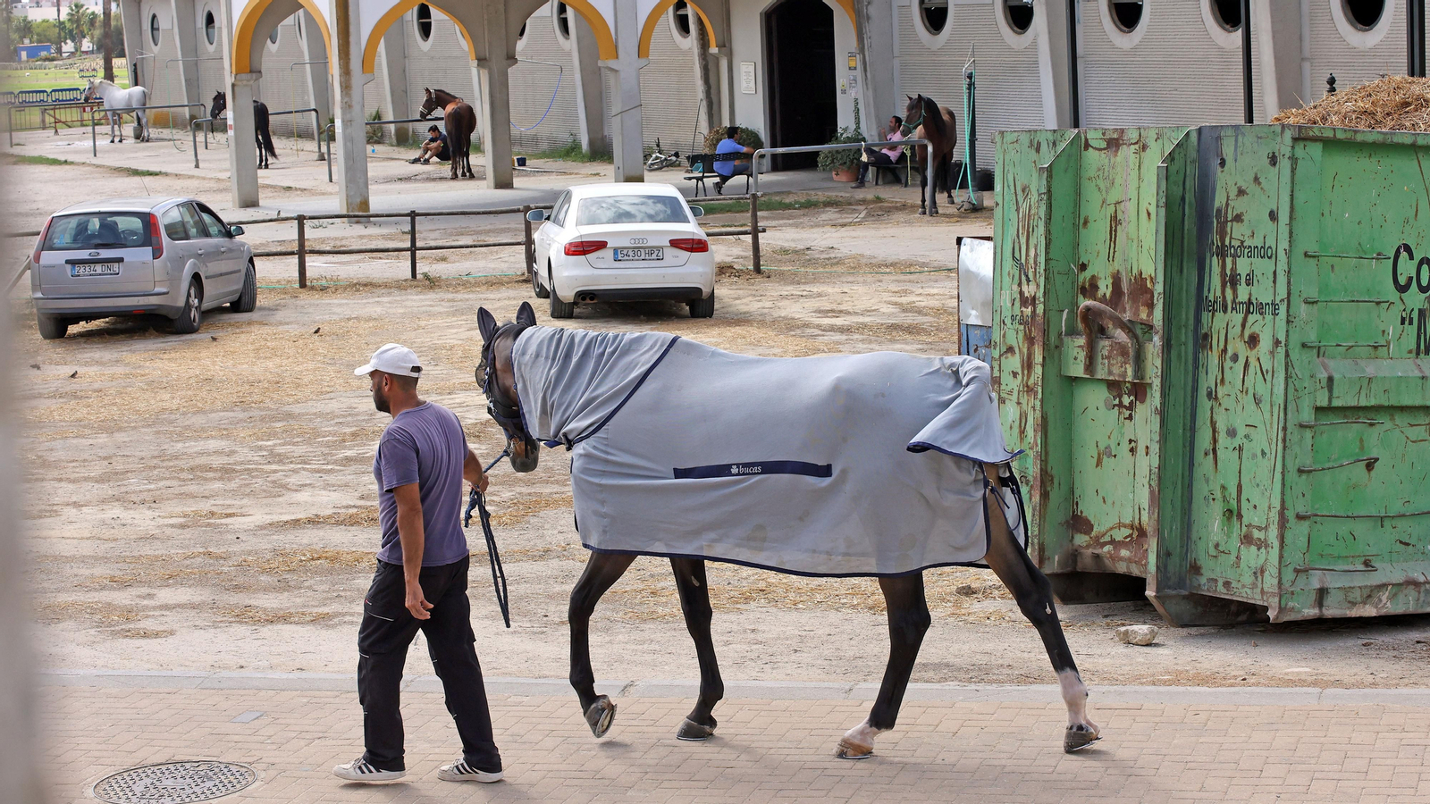 20 años después de los Juegos Ecuestres Mundiales Jerez 2002