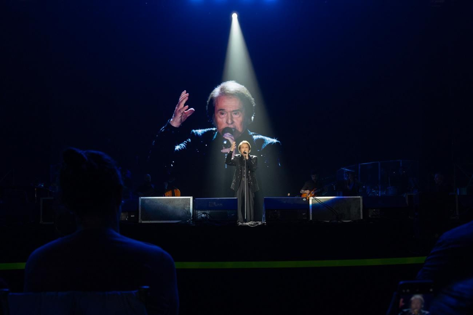 Así se disfruta en Jaén del concierto de Raphael, "Raphaelísimo"