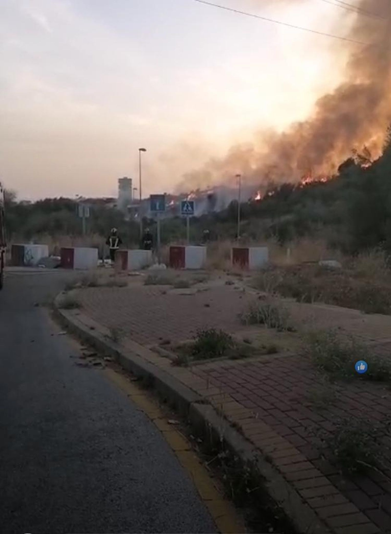 Las llamas en la zona de los Altos de Marbella.