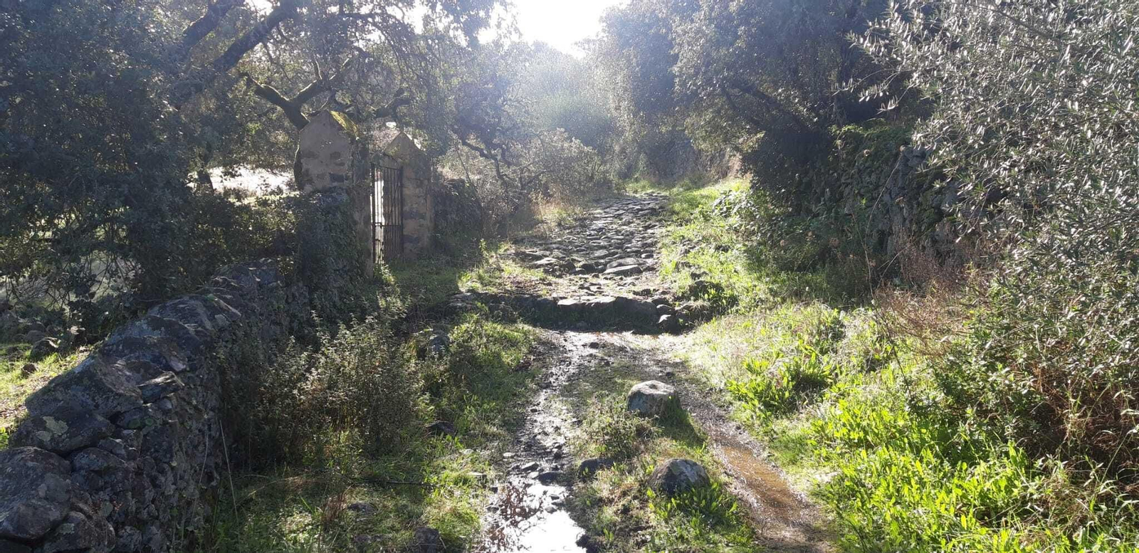El camino irá muchas veces flanqueado por muretes.