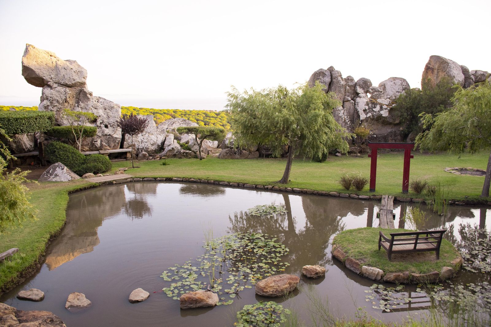 Los jardines se diseñaron a partir de un manantial que se encontró a un metro de profundidad, regenerándolo con planta autóctonas y de otras especies.