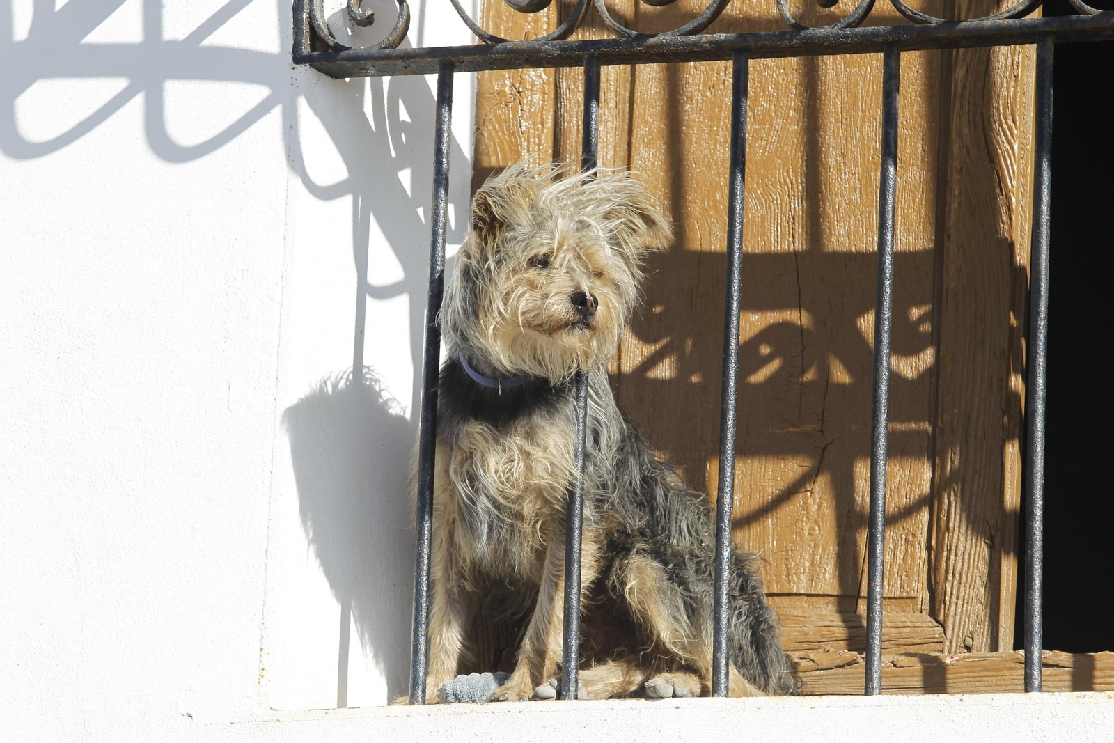 Fiestas Patronales de Escúllar