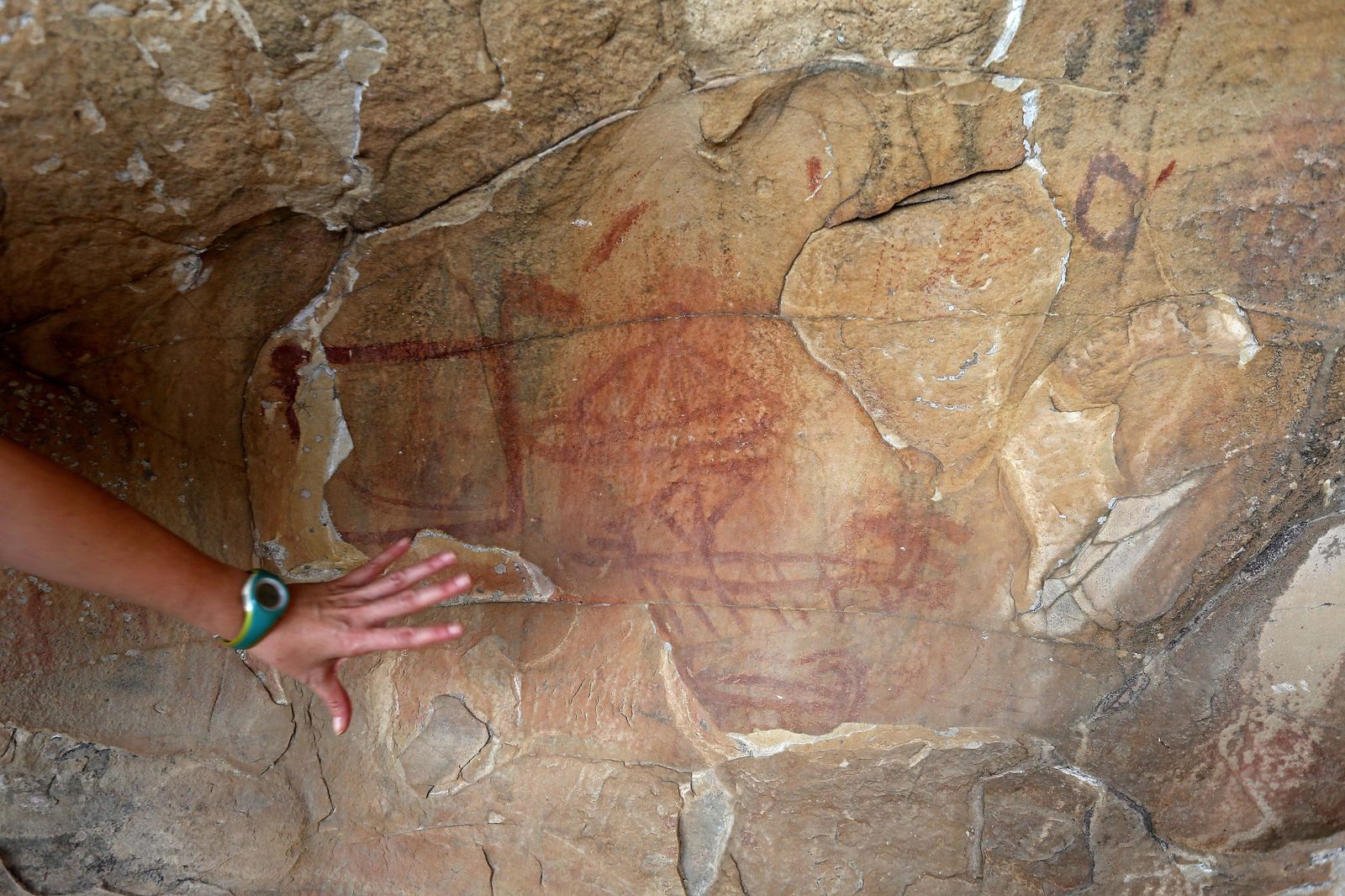 Pinturas rupestres en la Laja Alta, en Jimena