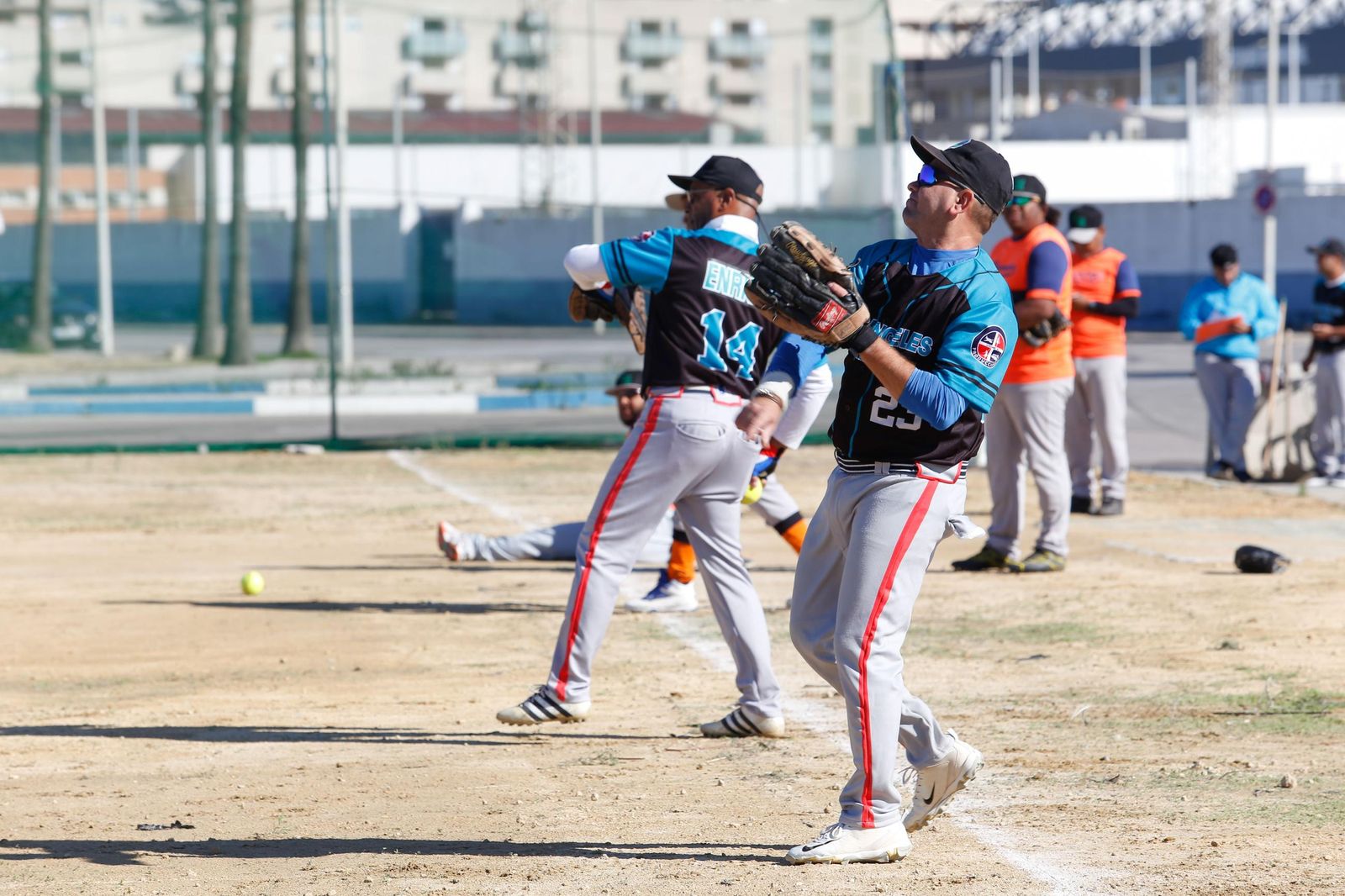 Las fotos del equipo de béisbol Los Ángeles de La Línea
