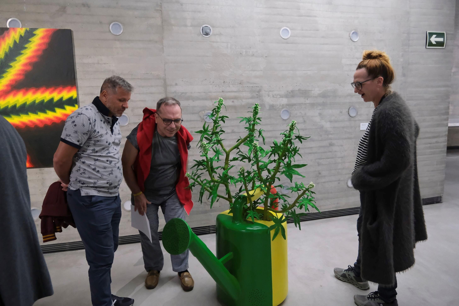 La exposición 'Sombra verde' de Federico Guzmán en el C3A de Córdoba, en imágenes