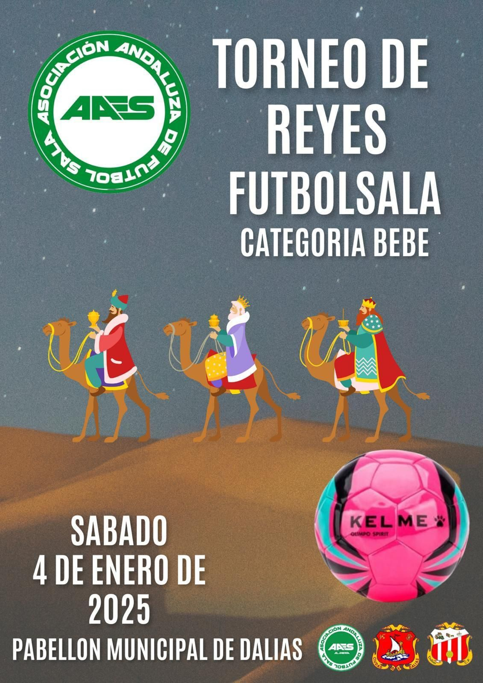 Cartel oficial del Torneo de Reyes de Fútbol Sala de Dalías.