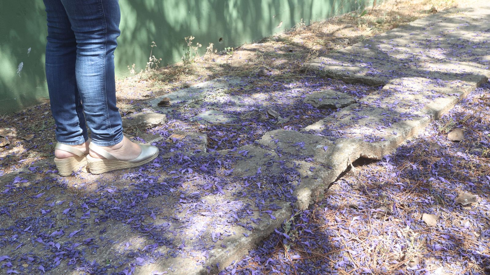 Losetas levantadas en Simón Verde.