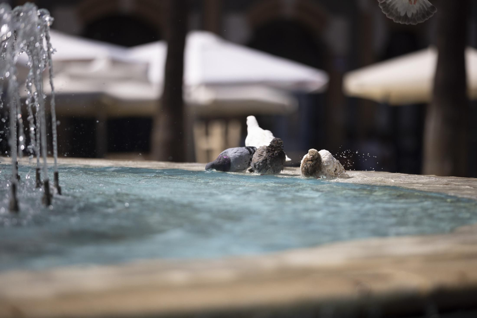 Imágenes del jueves 8 de septiembre en Huelva