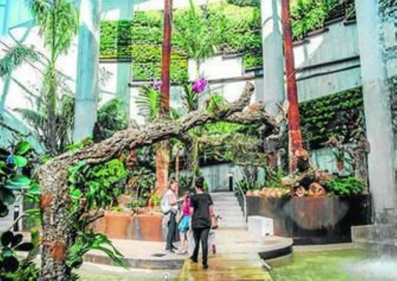 El parque botánico-orquidario inaugurado ayer.