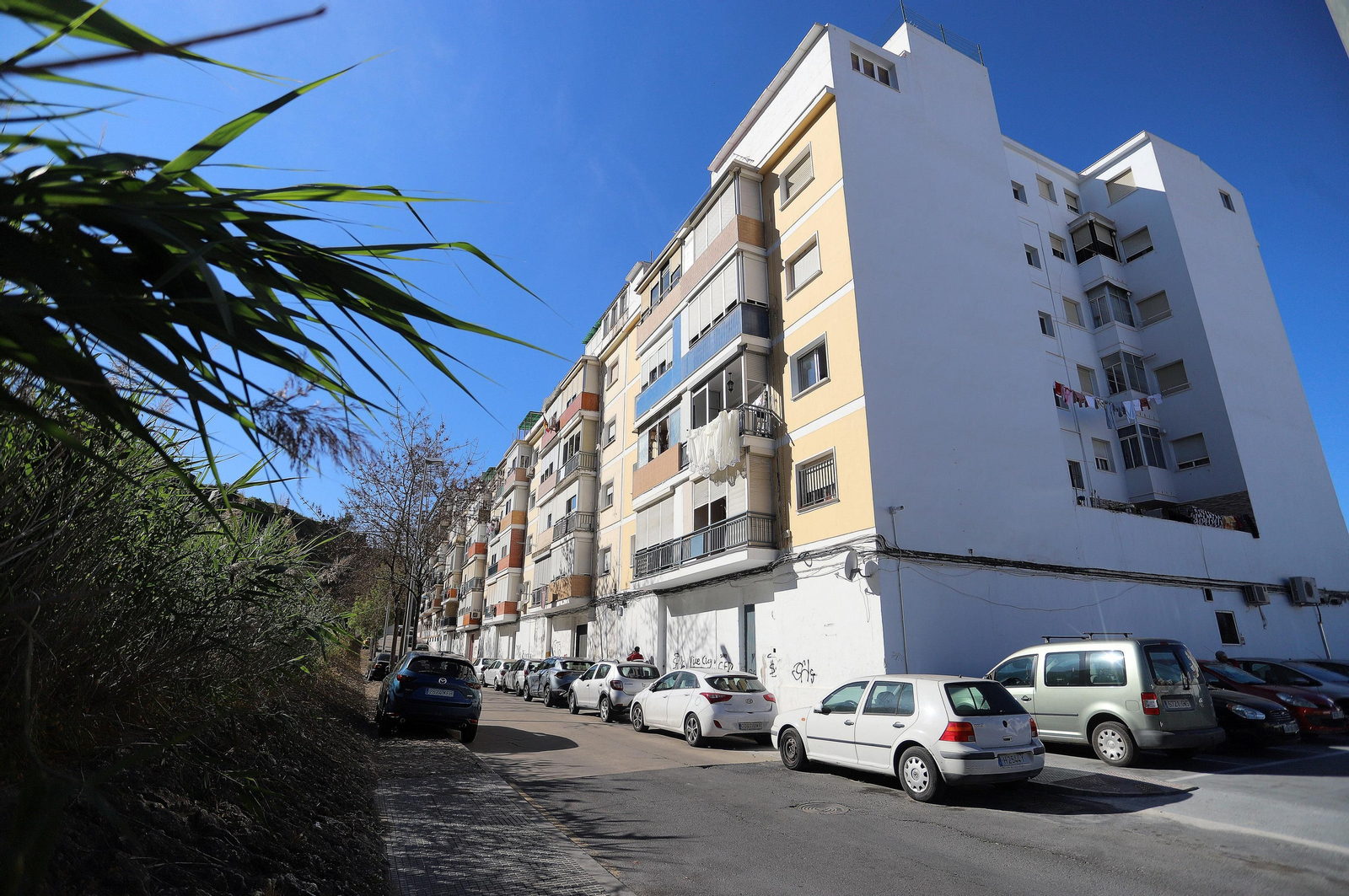 Barrio a Barrio: Imágenes de la Barriada de Los Dolores