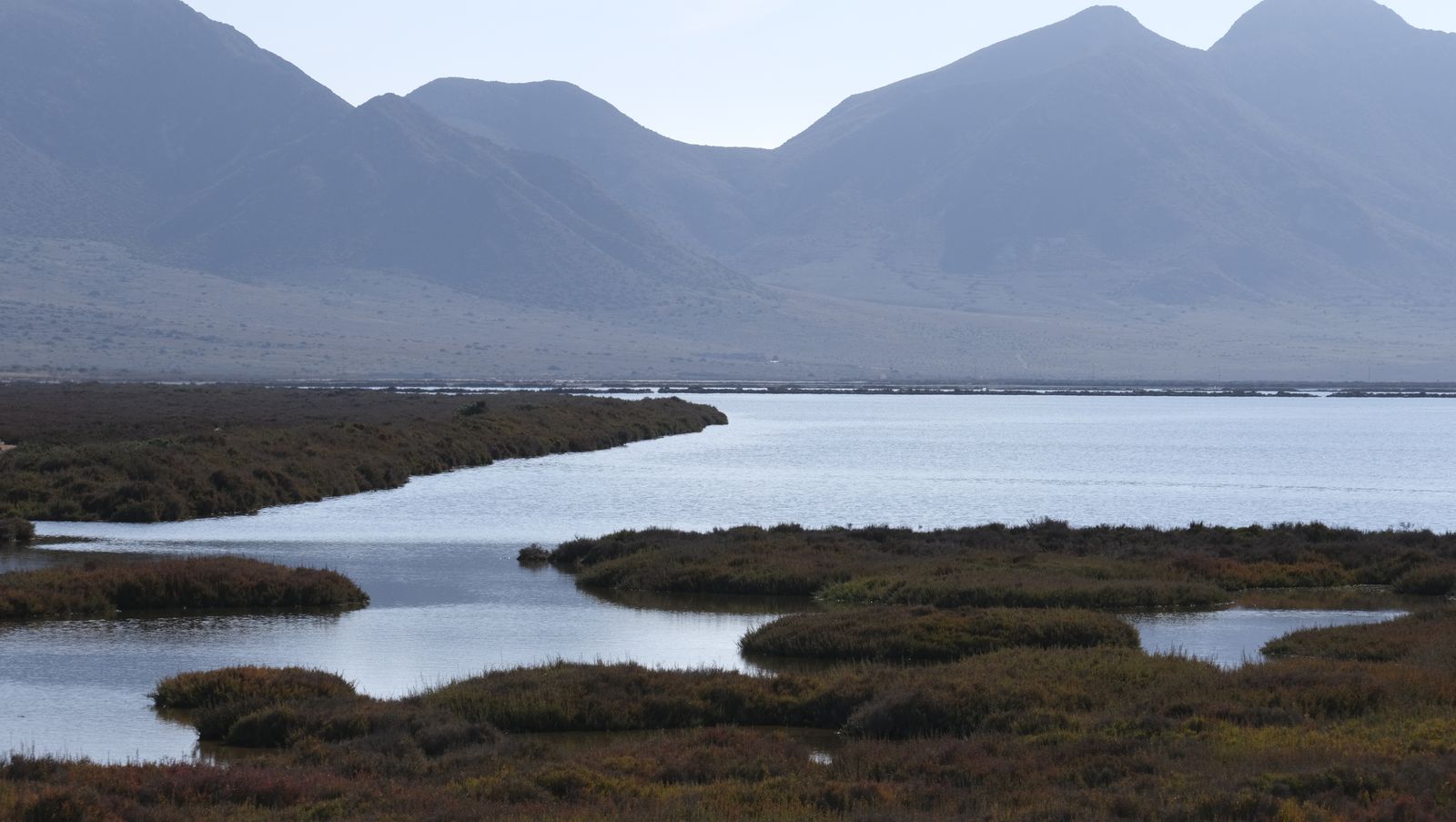 Imágenes de las Salinas de Cabo de Gata con agua otra vez