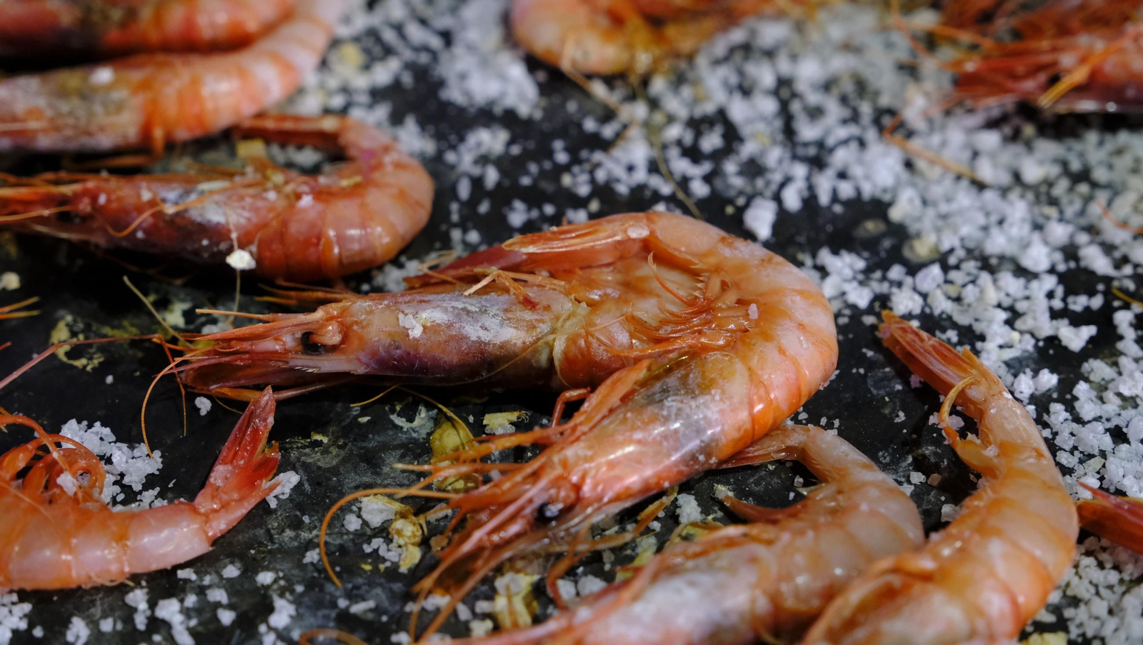 Fiesta de la Gamba Roja de Garrucha, en imágenes