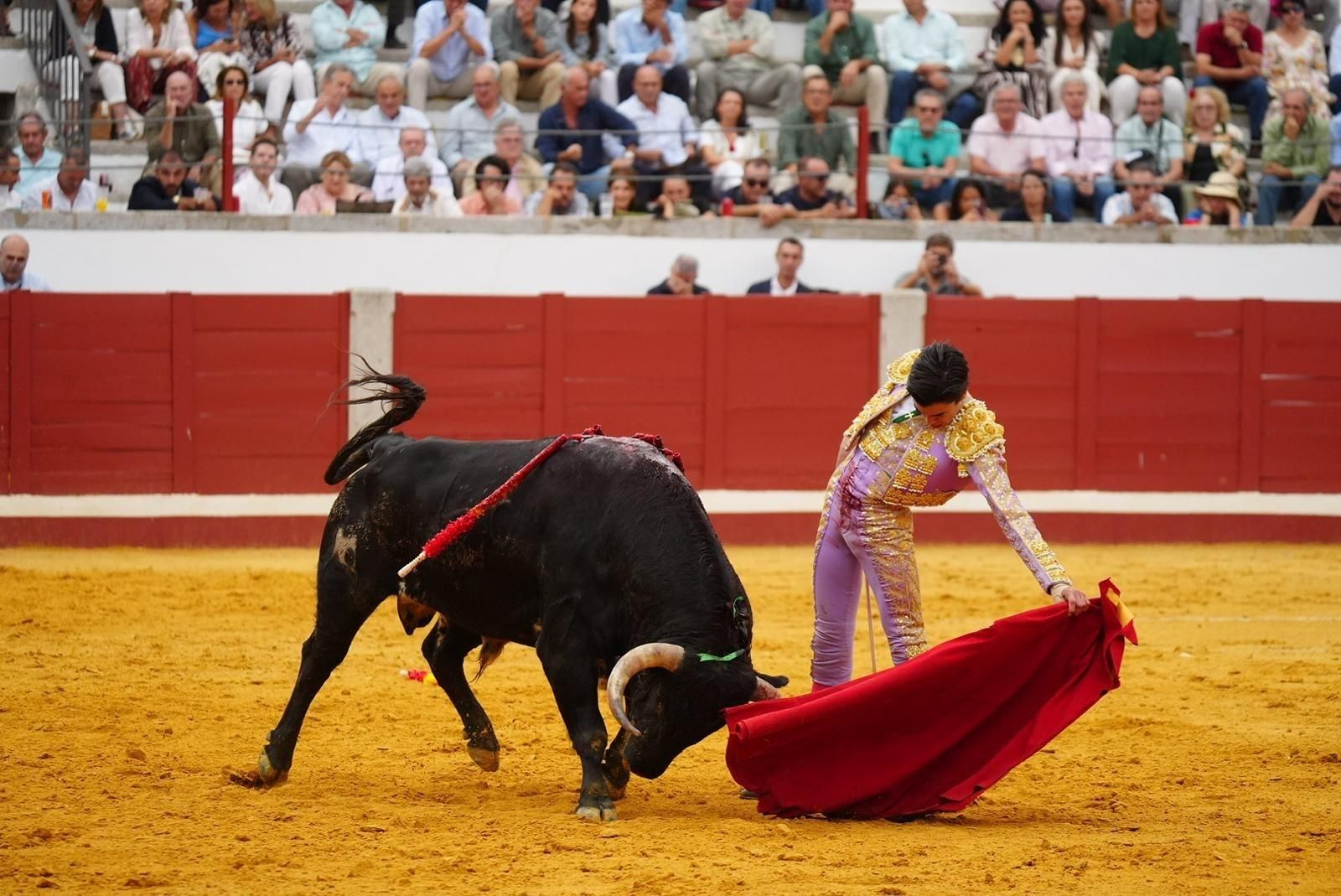 Las mejores imágenes de las corridas de toros de la Feria de Pozoblanco