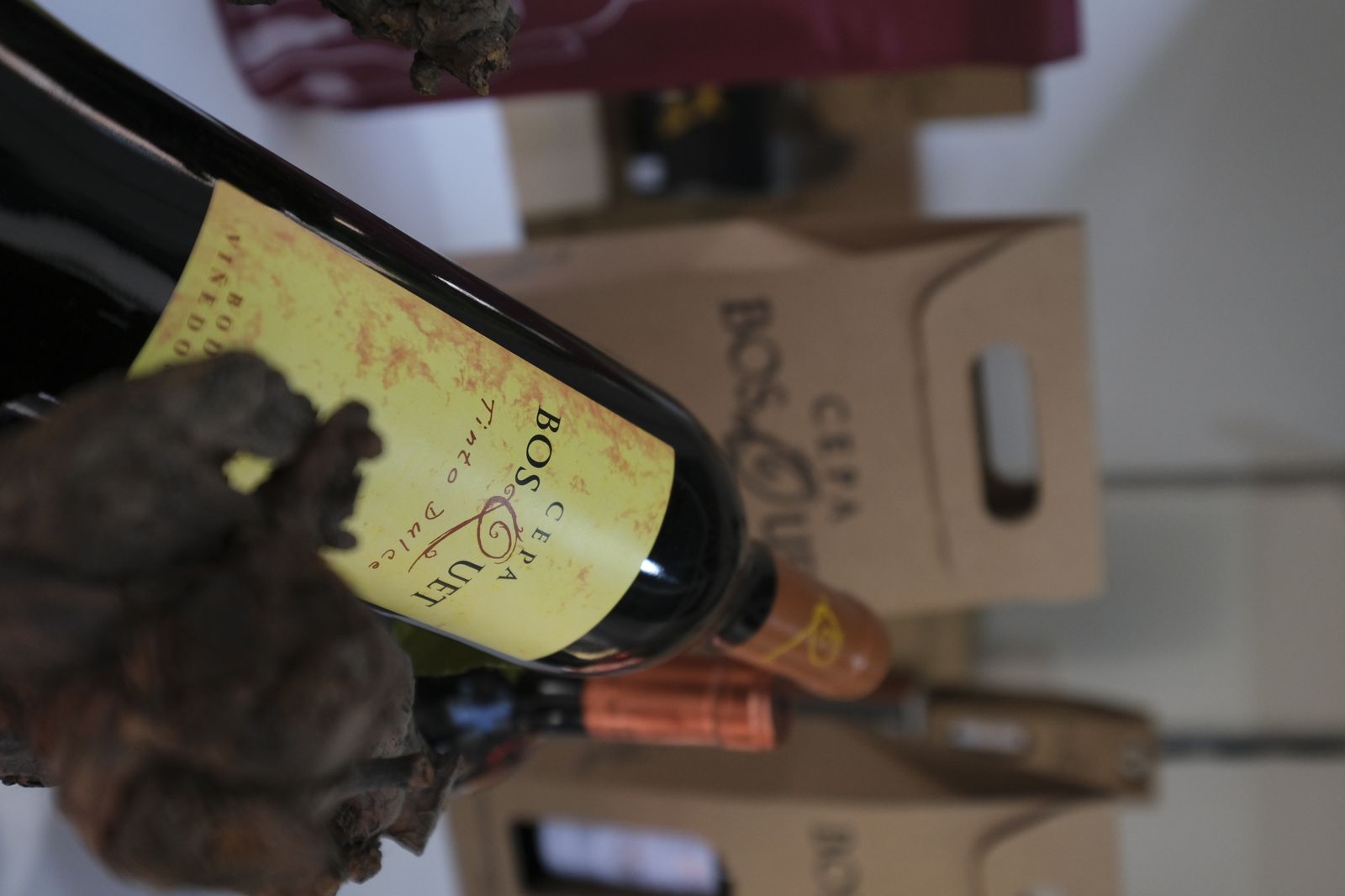 Fotogalería feria Sabores Almería