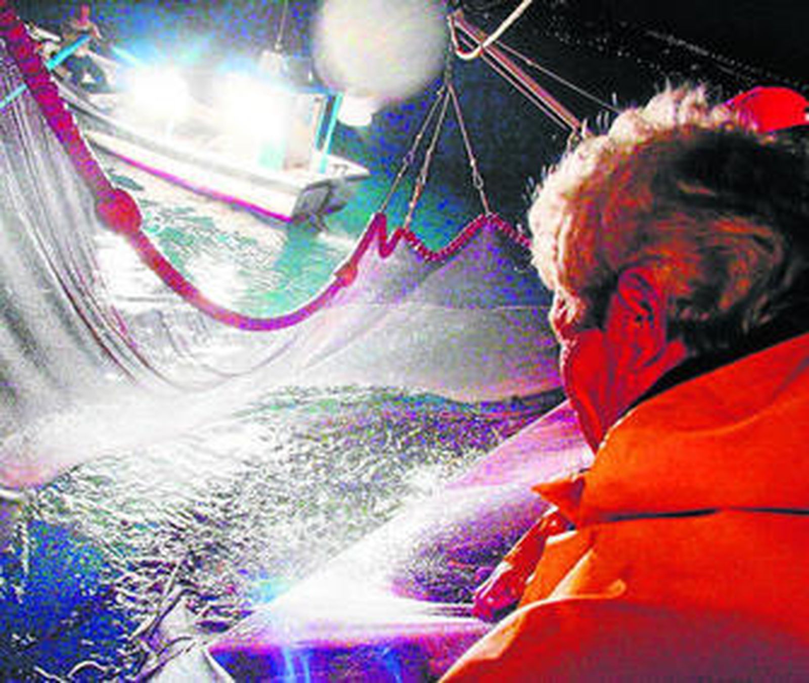 Los bancos de sardinas han descendido desde los años '90.