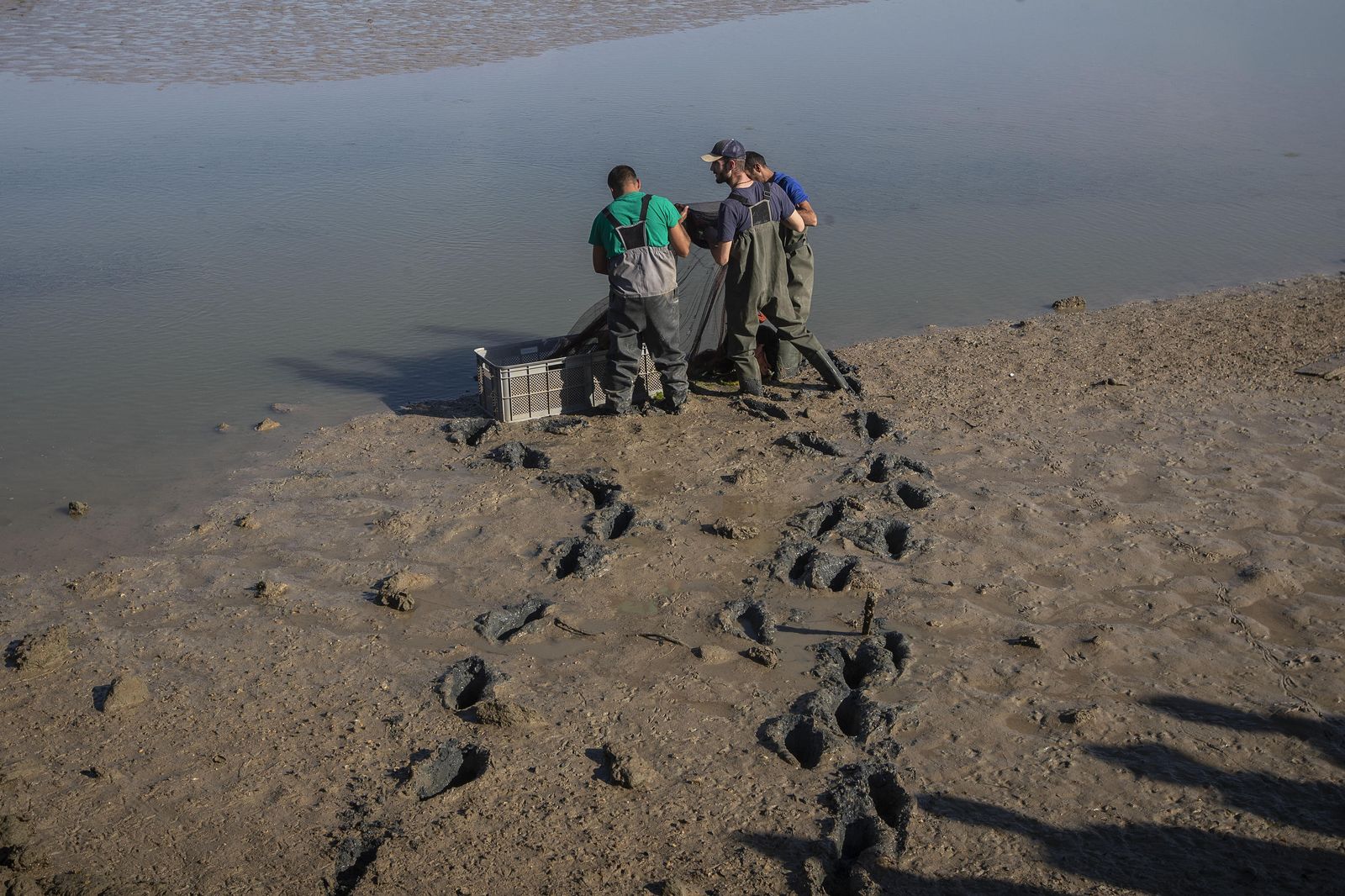 El despesque de las Jornadas del Estero, en imágenes