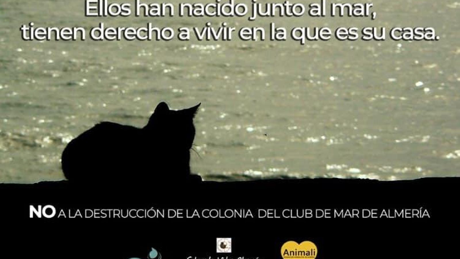 Cartel de la compaña contra la destrucción de la colonia de gatos del Puerto